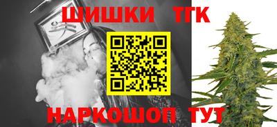 apvp Гатчина