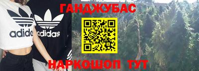 apvp Гатчина