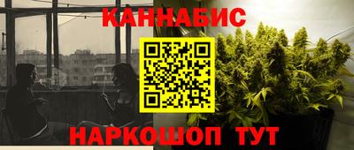 apvp Гатчина