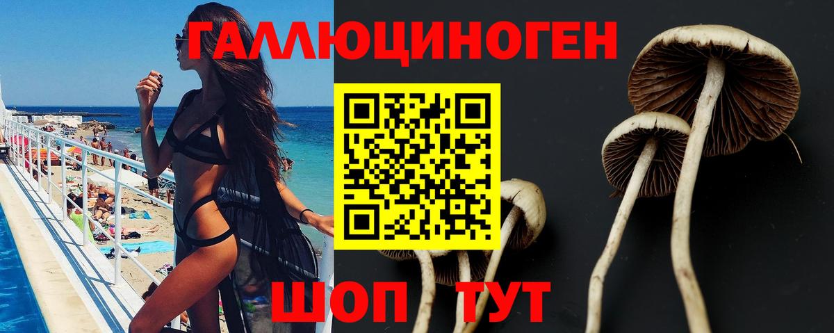 Псилоцибиновые грибы GOLDEN TEACHER Белорецк