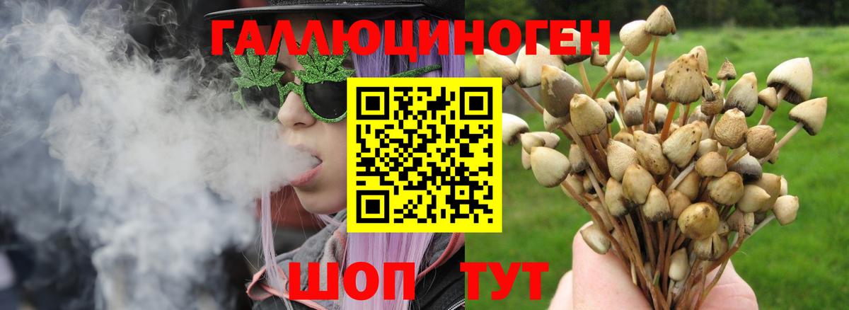 Псилоцибиновые грибы GOLDEN TEACHER  Вход с VPN  Белорецк  Псилоцибиновые грибы MAGIC MUSHROOMS 